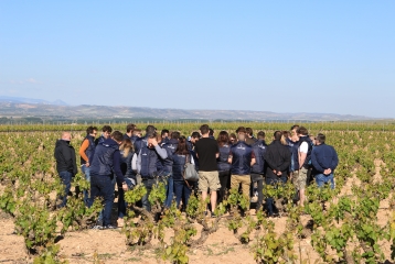 Bodegas Manzanos Azagra  - Visita a viñedos