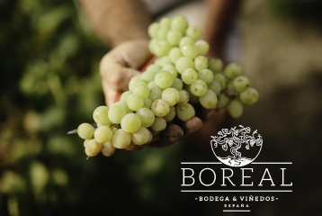 Boreal Bodega & viñedos - 