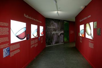 Museo del Vino del Campo de Borja - Área de Viticultura y Enología