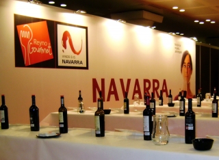 Cata de vinos de Navarra