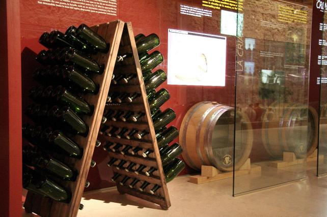 Museo del Vino de Peñafiel