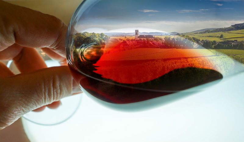 Reflejo en copa de las rutas del vino de España