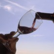 Nace TuriVino, el blog de los usuarios de Viajeros del Vino