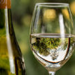 Guía fácil de cata de vinos para el confinamiento